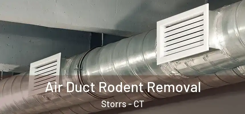  Air Duct Rodent Removal Storrs - CT