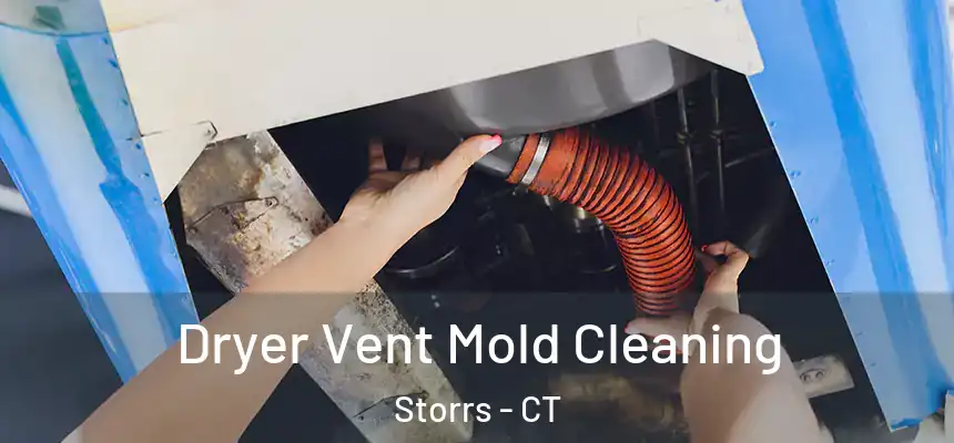  Dryer Vent Mold Cleaning Storrs - CT