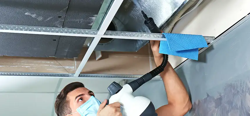 Our Air Duct Rodent Removal Services in Storrs, CT
