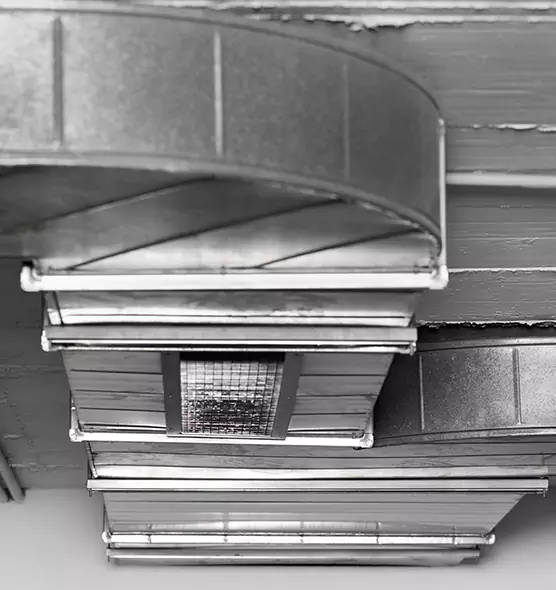 Professional Air Duct Pest Removal in Storrs, CT