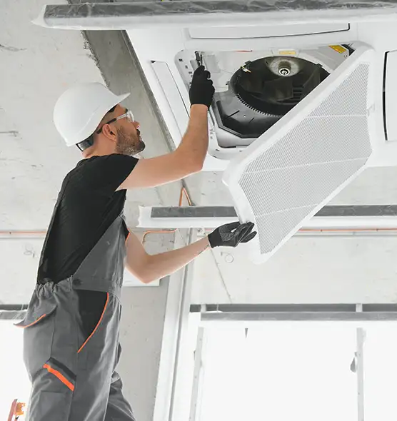 About Air Duct Rodent Removal in Storrs, CT