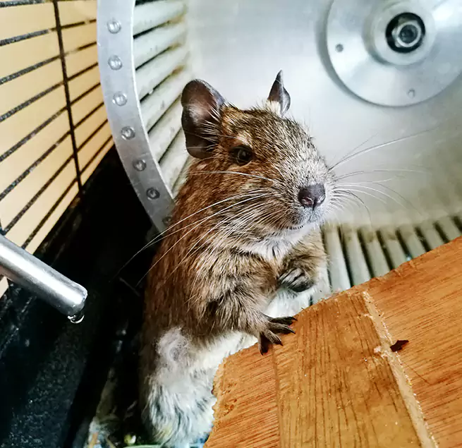 Why Homeowners & Businesses Trust Us Storrs, CT?