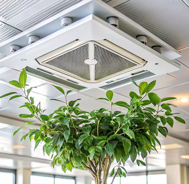 Why Homeowners & Businesses Trust Us in Storrs, CT